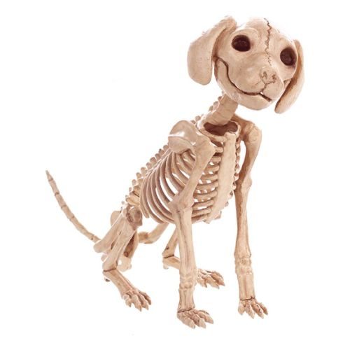 Esqueleto de Perro